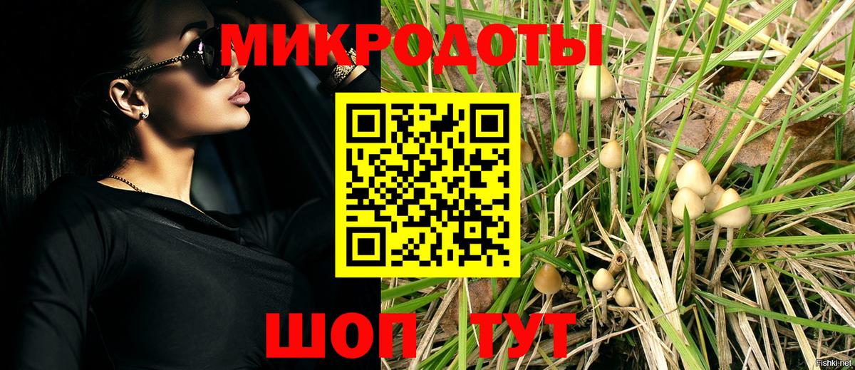 Галлюциногенные грибы Magic Shrooms Томск