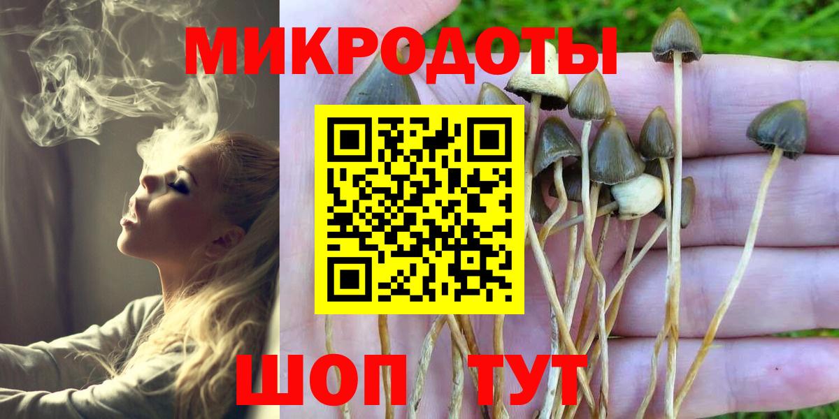 Томск  Псилоцибиновые грибы ЛСД  Вход с VPN 